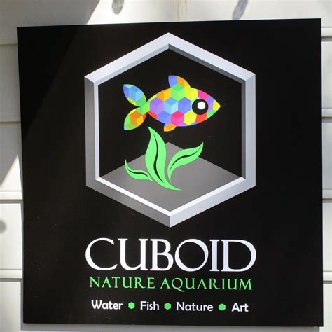 cuboid nature aquarium|cuboid nature aquarium lahaska pa.